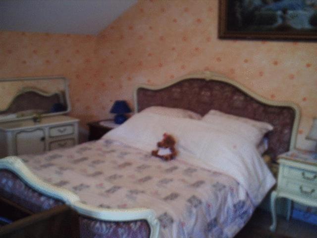 Chez Josephine Bed & Breakfast Metting Oda fotoğraf